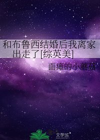 （综英美同人）和布鲁西结婚后我离家出走了[综英美]